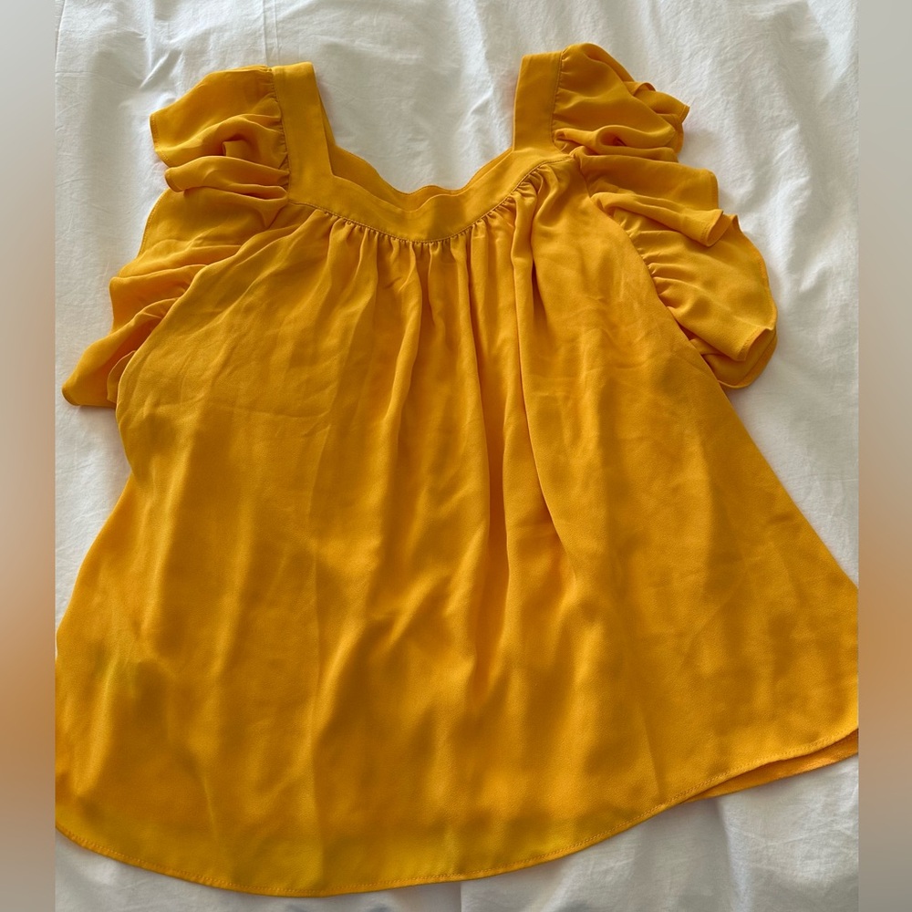 Ann Taylor Ruffled Top